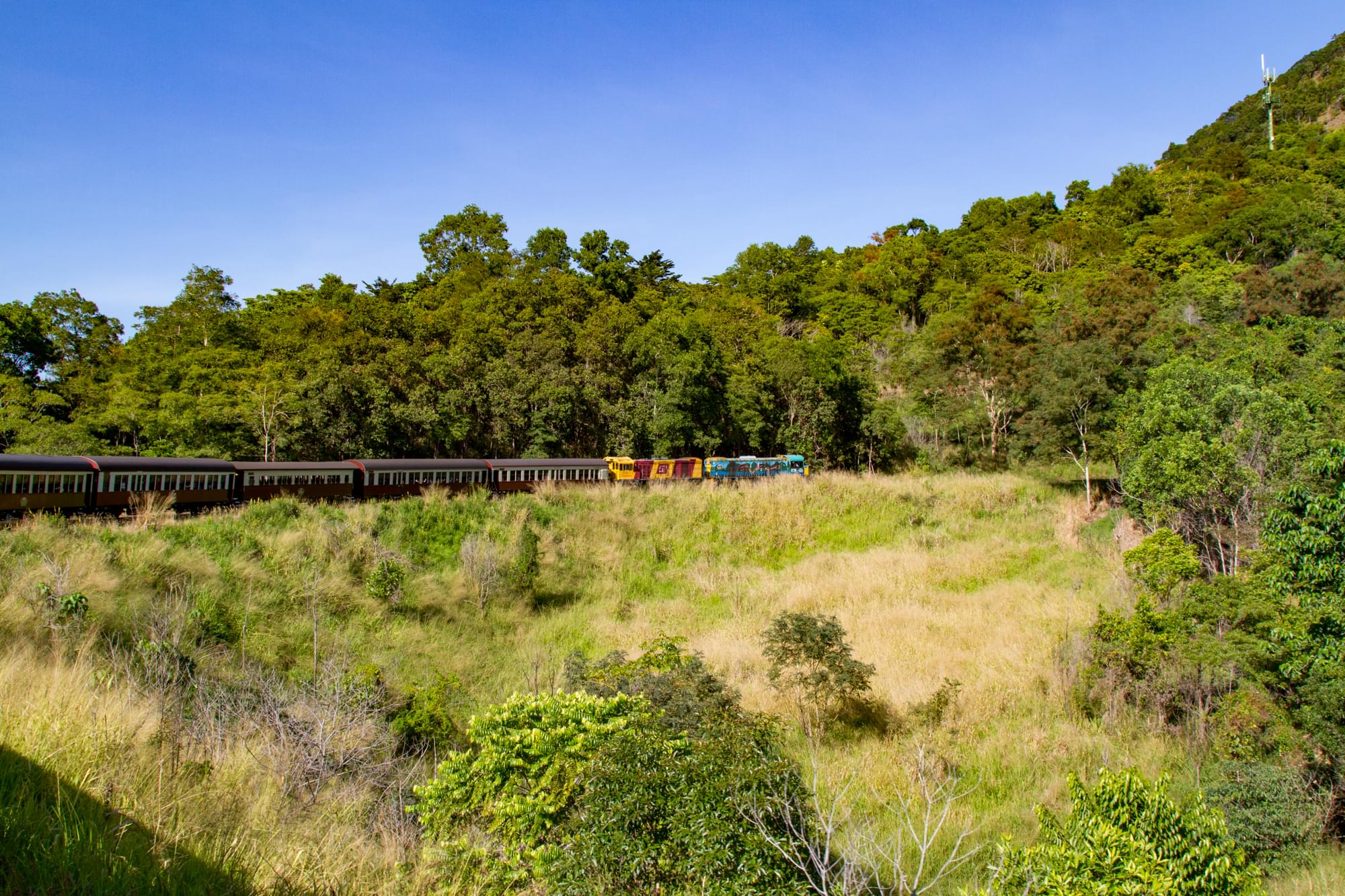 03_20150813   AUS 452   Kuranda